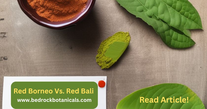 red borneo vs red bali-read complete blog on bedrock botanicals