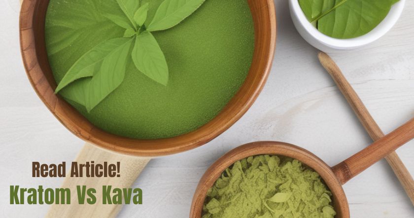 kratom vs kava-know differences & similarities-read on bedrock botanicals blog
