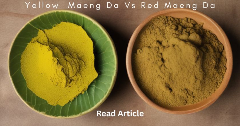 yellow maeng da vs red maeng kratom- know the difference and benefits on our blog