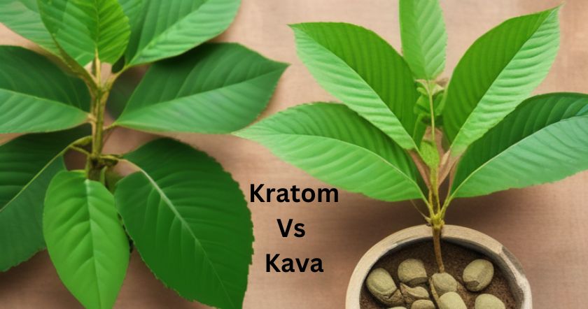 Kratom vs Kava read complete article on Bedrock