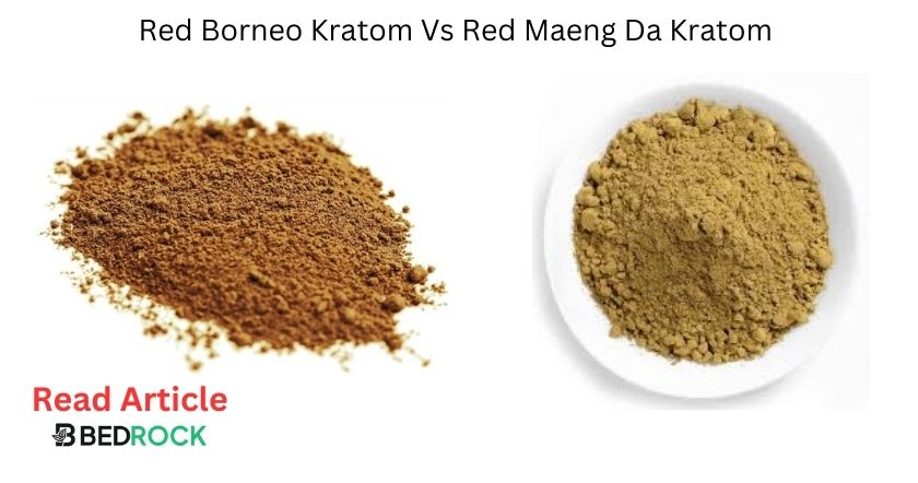 red borneo kratom vs red maeng da kratom-read article