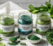 Chlorophyll, Spirulina & Green Powders Benefits, Risks & Best Products