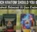 Which Kratom Should You Buy? — Bedrock Botanicals Vs Gaia Kratom