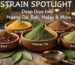 Strain Spotlight: Deep Dive Into Maeng Da, Bali, Malay & More- read more on bedrock botanicals blog