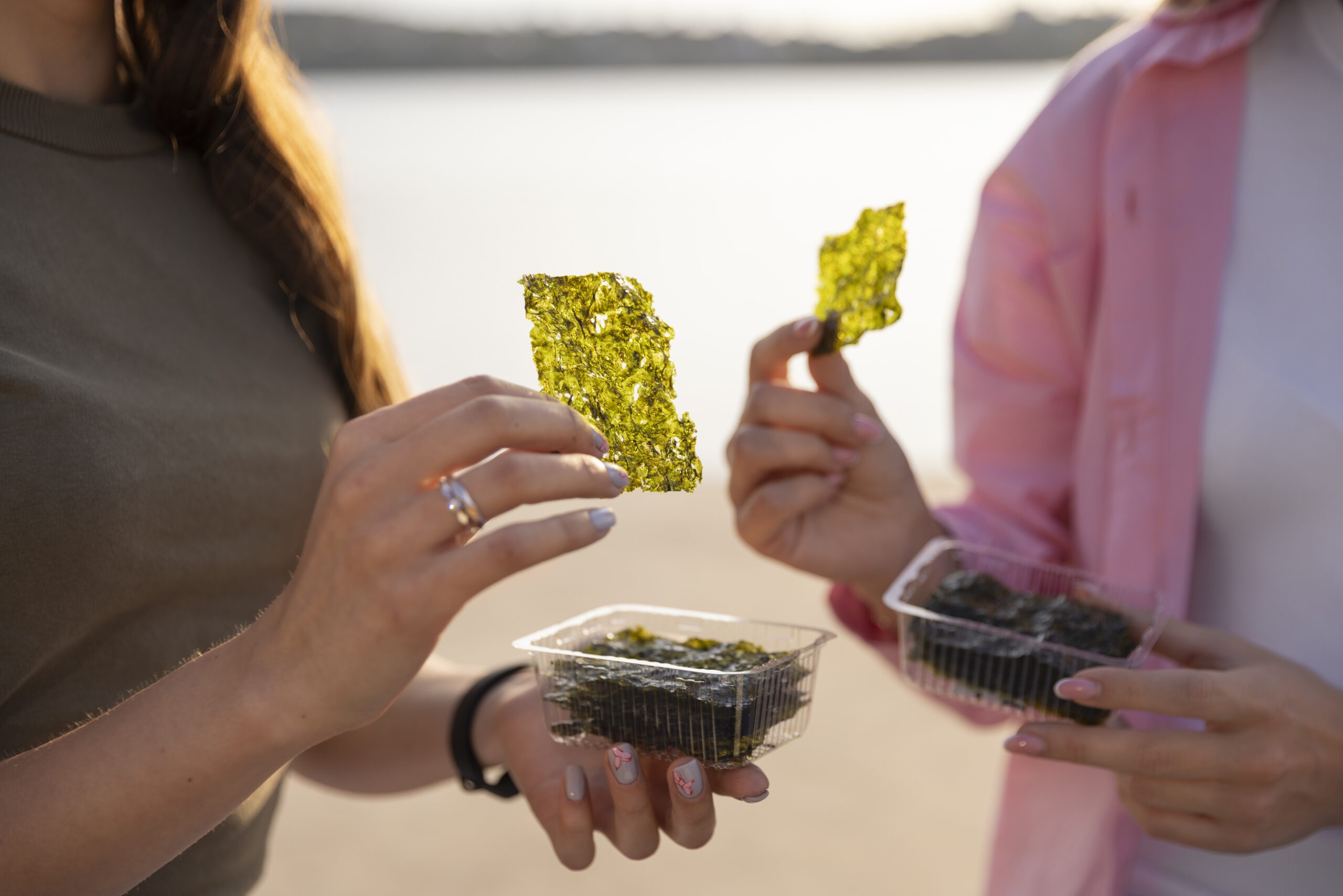 delicious-seaweed-snacks