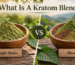 What Is A Kratom Blend Blends Vs Single-Strain Products Explained
